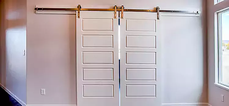 Glass Barn Door with Installation Hardware Kit Brawley
