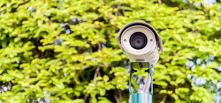 Advanced Surveillance Solutions for Every Need in Brawley