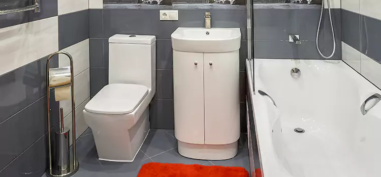 Hansgrohe Shaving Mirror Brawley